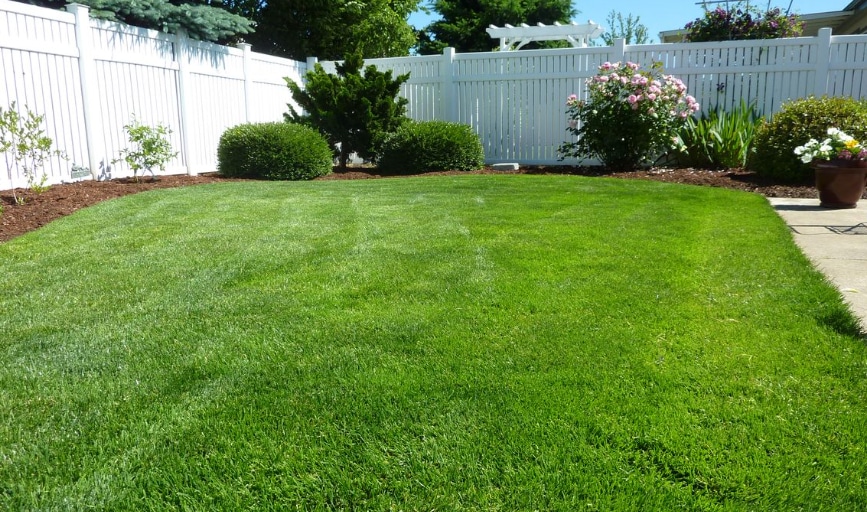 Lawn Leveling
