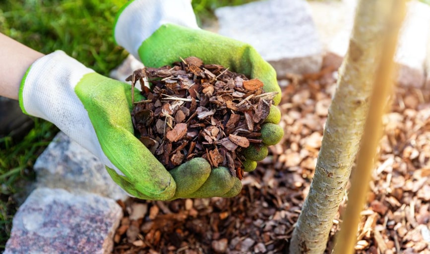 Mulch Installation